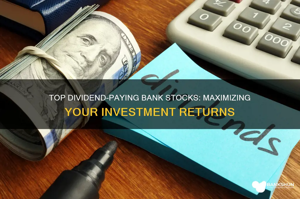 what bank stock pays the highest dividend