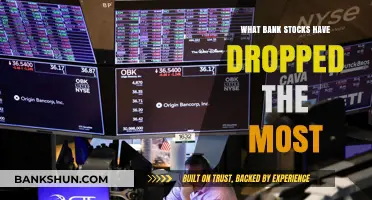 Bank Stocks Plunge: Top Decliners Amid Market Turmoil