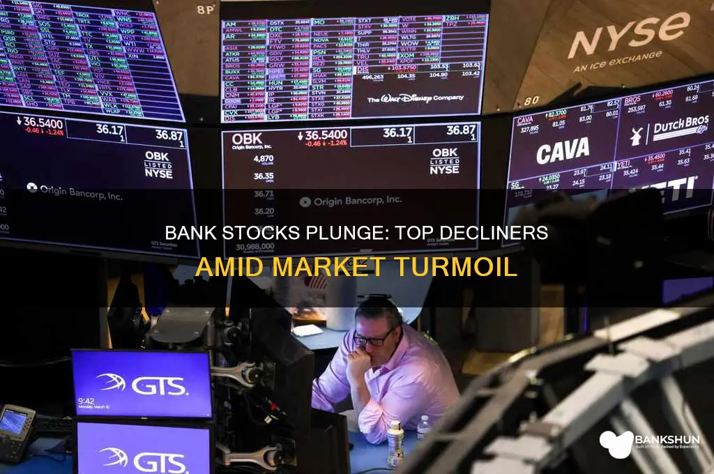 what bank stocks have dropped the most