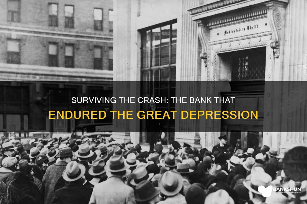 what bank was left after great depression