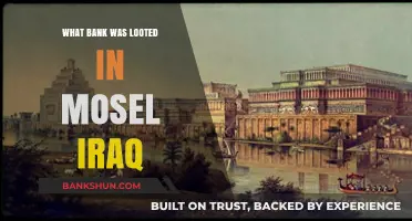 Mosel Iraq Bank Heist: Uncovering the Looted Financial Institution