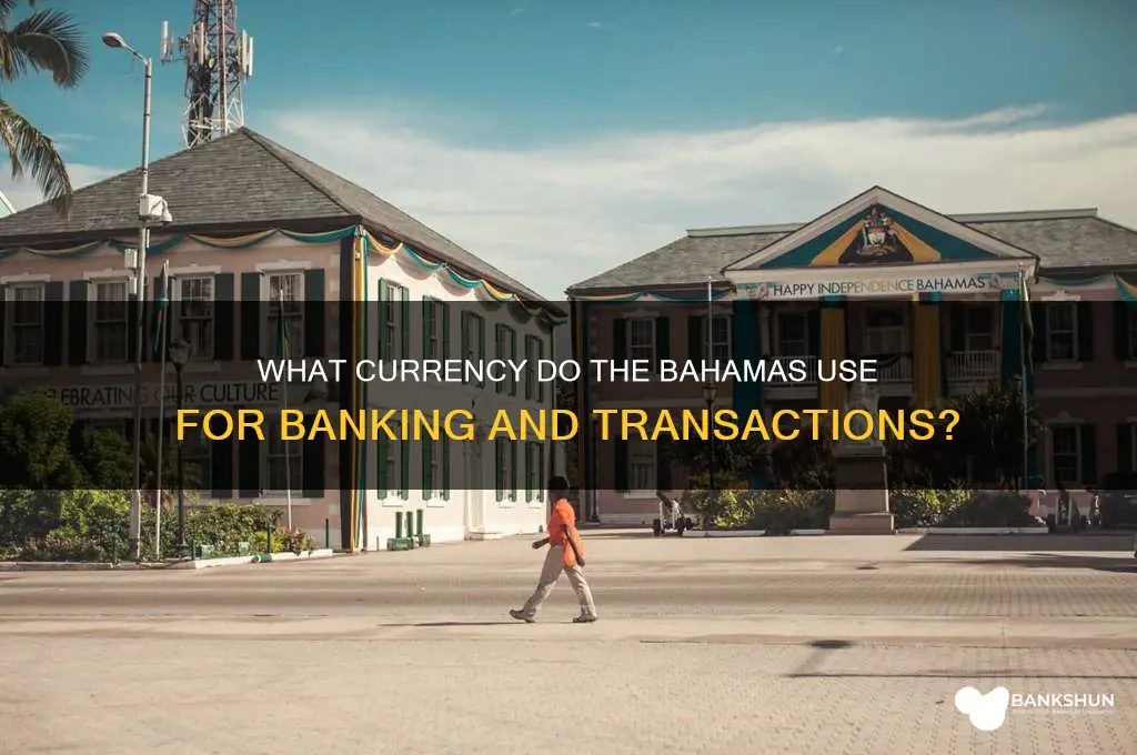 what banking currenci is uesd in bahama