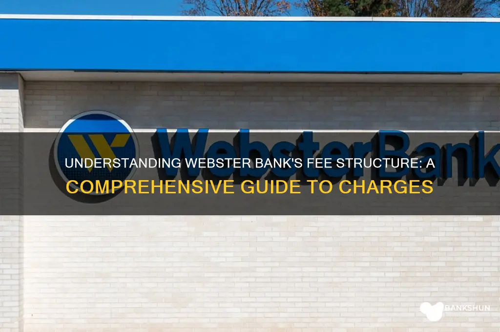 what banking fees does webster bank have