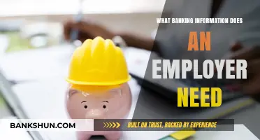 Essential Banking Details Employers Require for Payroll Processing
