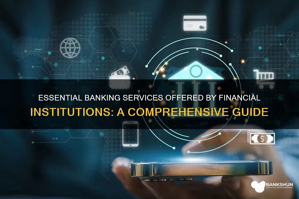 what banking services do financial institutions provide