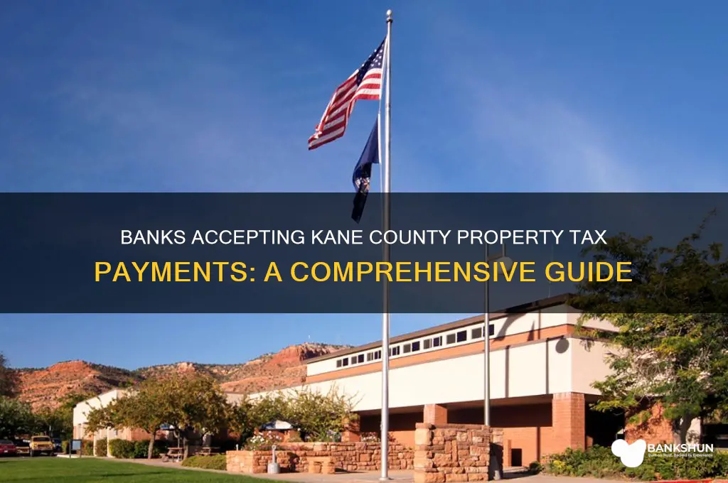 what banks accept kane county property taxes