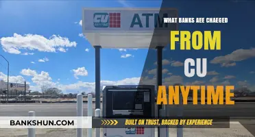 CU Anytime Fees: Understanding Bank Charges for Credit Union Services