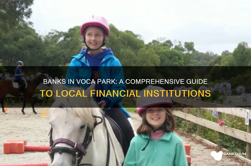 what banks ard located in voca park