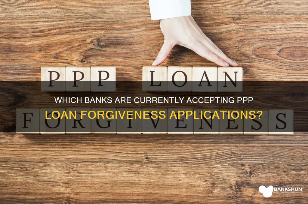 what banks are accepting ppp forgiveness applications