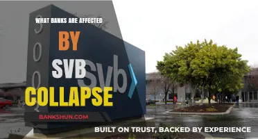 SVB Collapse: Which Banks Face Fallout and Financial Risks?