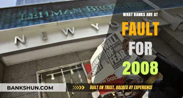 2008 Financial Crisis: Which Banks Were Most Responsible?