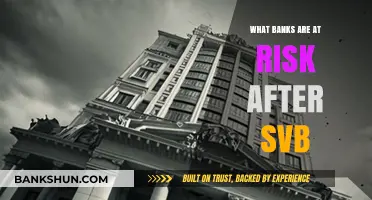 Post-SVB Fallout: Which Banks Are Vulnerable to Collapse Next?