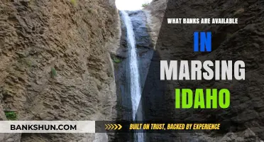Exploring Banking Options in Marsing, Idaho: A Comprehensive Guide