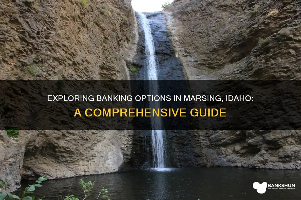 what banks are available in marsing idaho