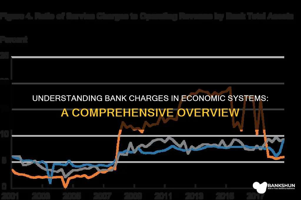 what banks are charged for an economics