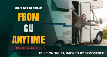 CU Anytime Fees: Understanding Bank Charges for Credit Union Services