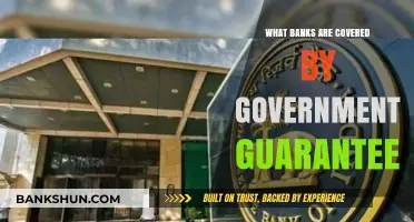 Government-Backed Banking: Which Banks Are Fully Guaranteed?