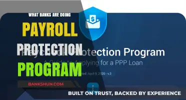 How Banks Are Implementing the Payroll Protection Program: A Comprehensive Guide