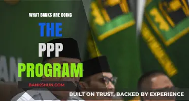 Banks Participating in the PPP Program: A Comprehensive Guide