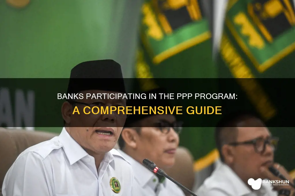 what banks are doing the ppp program