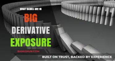 Banks with High Derivative Exposure: Risks and Key Players