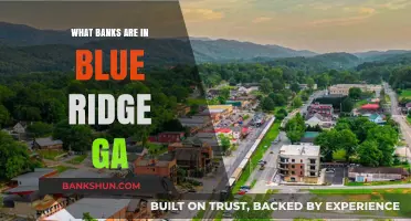 Discovering Blue Ridge, GA: A Guide to Local Banking Options