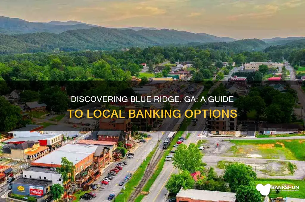 what banks are in blue ridge ga