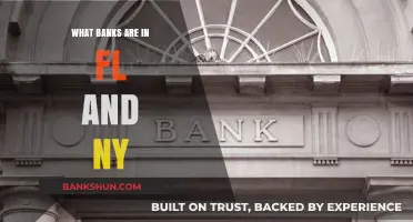 Florida and New York Banks: A Comprehensive Guide to Financial Institutions