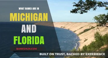 Michigan and Florida Banks: A Comprehensive Guide to Financial Institutions