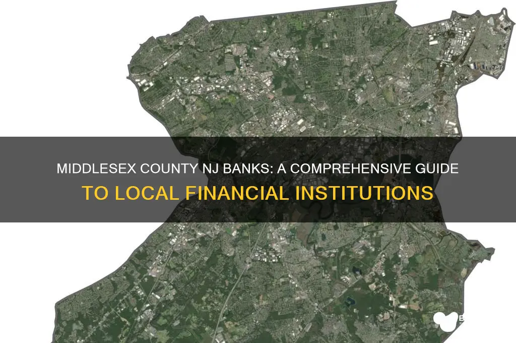 what banks are in middlesex county nj