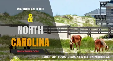 Ohio & North Carolina Banks: A Comprehensive Guide to Local Institutions