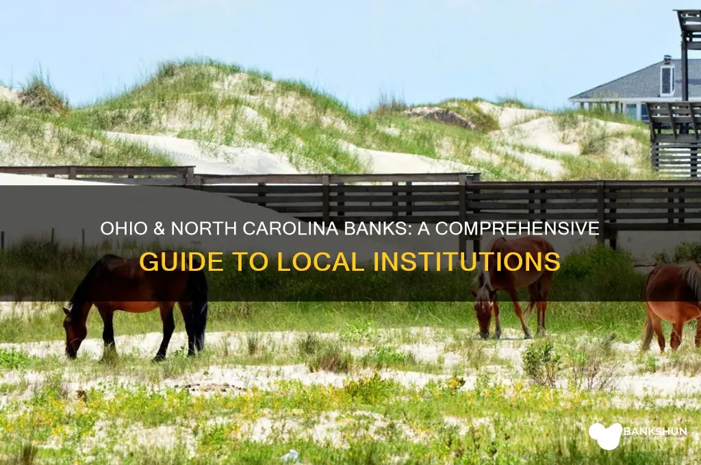 what banks are in ohio & north carolina