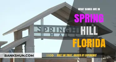 Discover Spring Hill, Florida's Top Local Banks and Financial Services