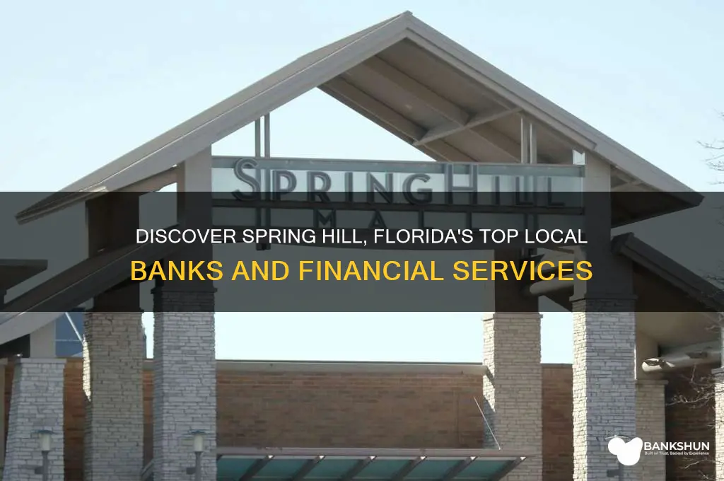 what banks are in spring hill florida