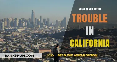 California Banks in Crisis: Which Financial Institutions Are at Risk?