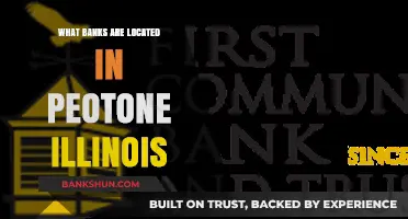 Peotone, Illinois Banks: A Comprehensive Guide to Local Financial Institutions