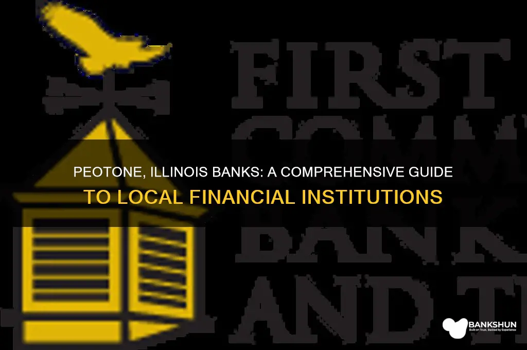 what banks are located in peotone illinois
