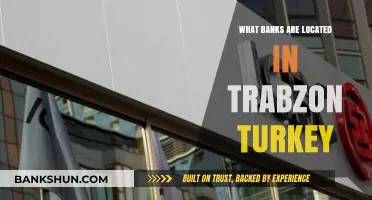 Discovering Trabzon's Banking Scene: A Guide to Local Banks in Turkey