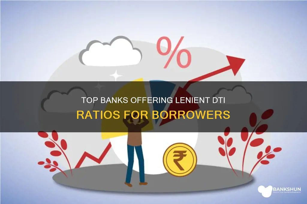 what banks are most lenient on dti