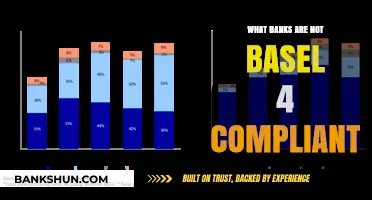 Banks Lagging Behind: Which Institutions Are Not Basel 4 Compliant?