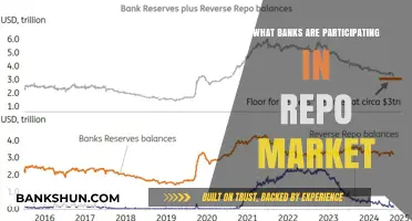 Key Banks Active in Today’s Repo Market: A Comprehensive Overview