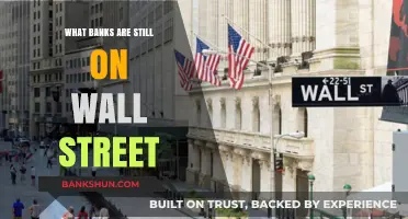 Wall Street's Legacy: Banks Still Standing in the Financial Hub