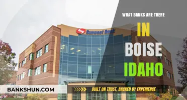 Exploring Boise Idaho's Banking Options: A Comprehensive Guide to Local Banks