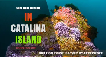 Catalina Island Banking: Exploring Financial Institutions on the Island