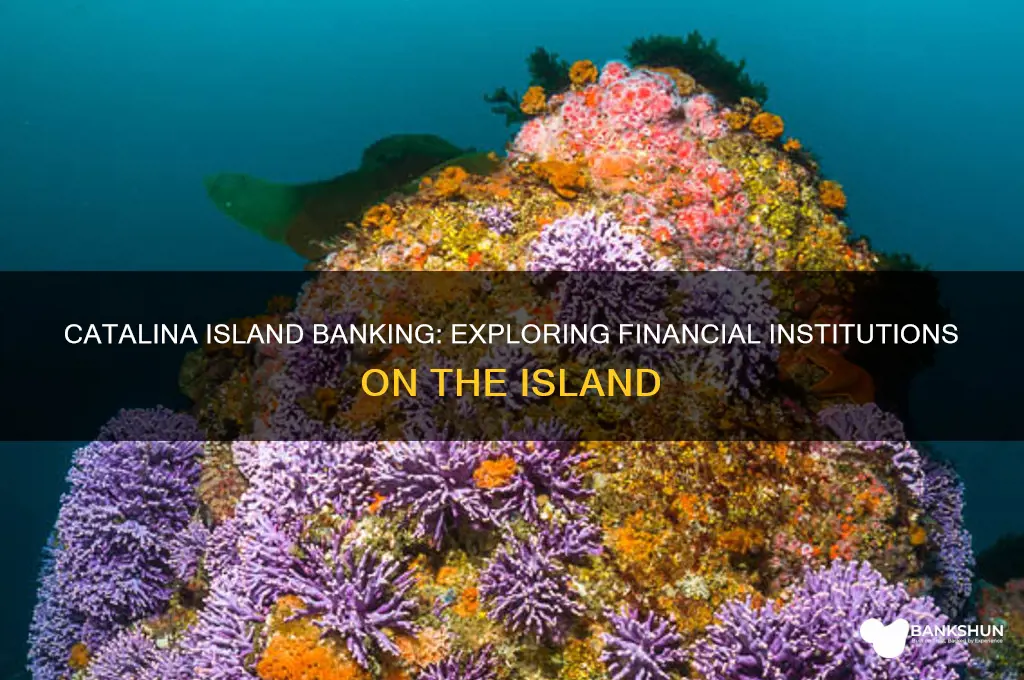 what banks are there in catalina island