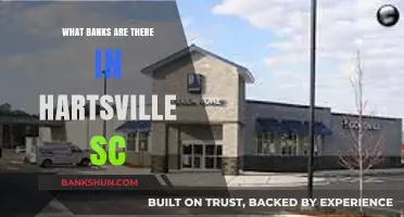 Hartsville SC Banking Guide: Local Banks and Financial Services
