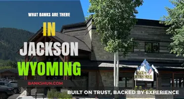 Exploring Jackson Wyoming's Banking Options: A Comprehensive Guide to Local Banks