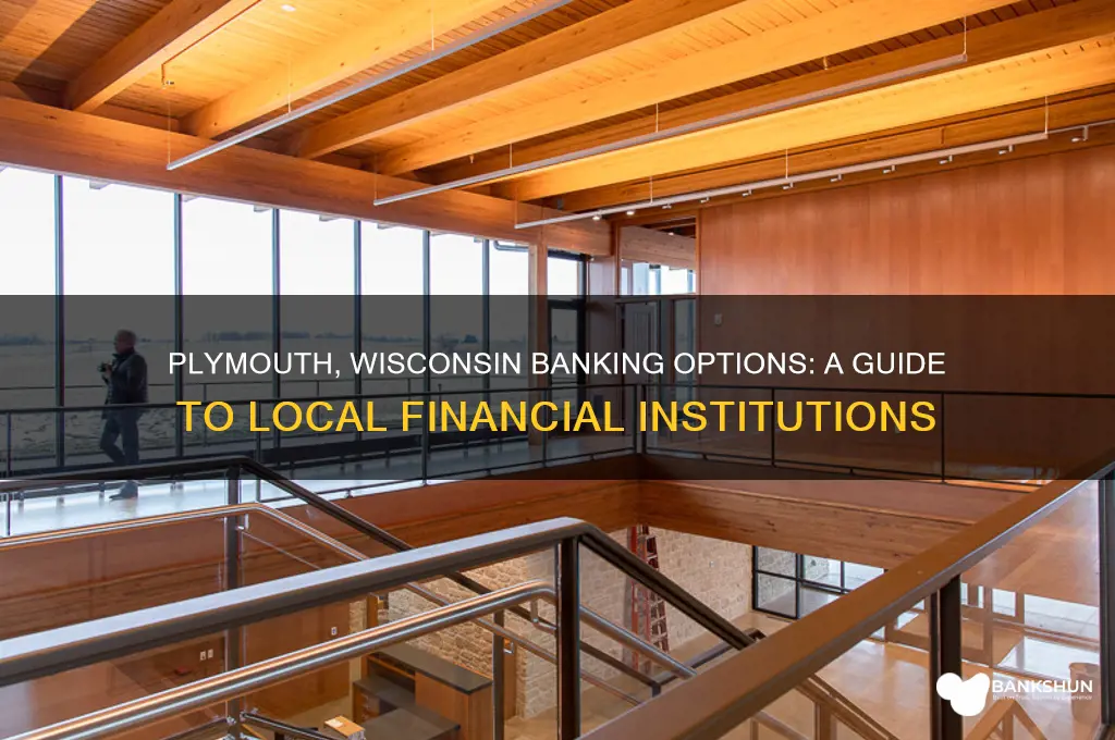 what banks are there in plymouth wisconsin