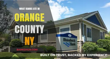 Exploring Orange County NY's Banking Scene: Who's Dominating the Market?