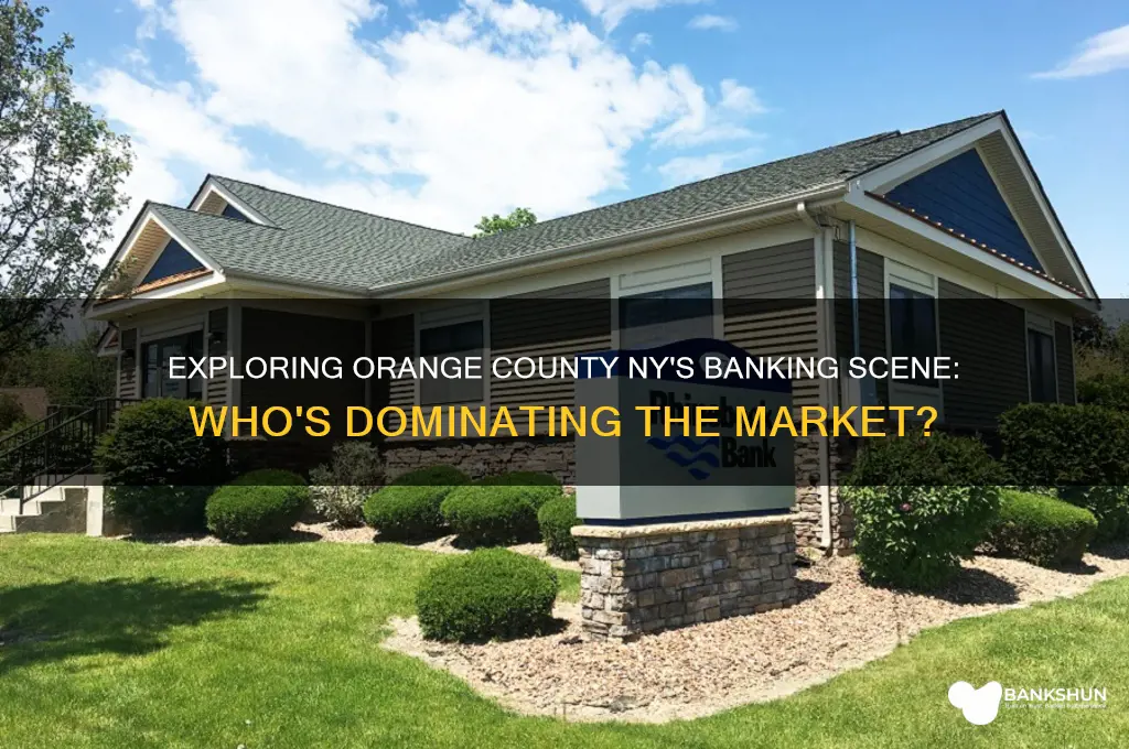what banks ate in orange county ny